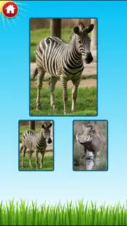 zoo sounds - fun educational games for kids iphone images 3