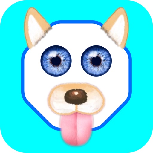Funny Face - Photo Editor app reviews download