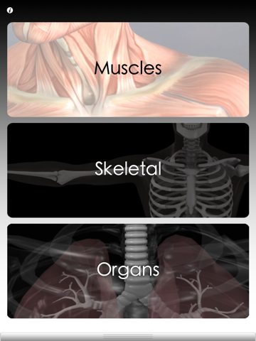 quizz anatomique pro iPad Captures Décran 1