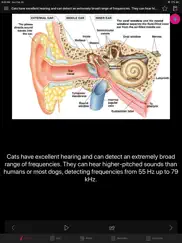human anatomy ears facts, quiz ipad images 4