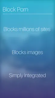 blockade - block porn, inappropriate content & ads iphone images 2