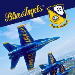 blue angels - aerobatic flight simulator revisión, comentarios
