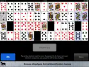 montana classic solitaire ipad images 2