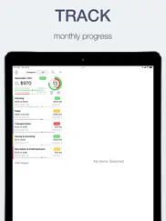 budget - money tracking ipad images 1