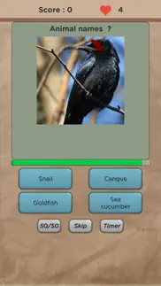 guess animal name quiz iphone images 2