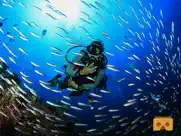 vr scuba diving with google cardboard ( vr apps ) ipad images 1