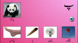 my first book of urdu hd iphone images 4