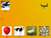 my first book of arabic hd ipad images 2