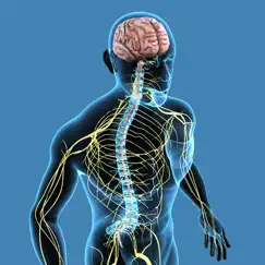 nervous system quizzes logo, reviews