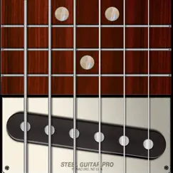 steel guitar pro logo, reviews
