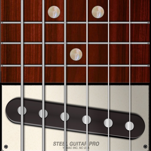 Steel Guitar PRO app reviews download