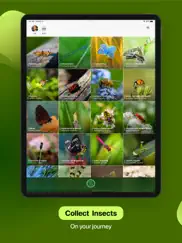 insect identifier iPad Captures Décran 4