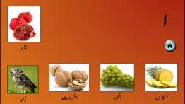 my first book of urdu hd iphone images 1