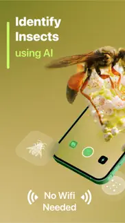 insect identifier iPhone Captures Décran 1
