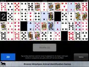 montana classic solitaire ipad images 1