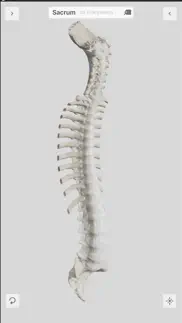 biomechanics of the spine lite iphone capturas de pantalla 2
