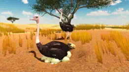 furious ostrich simulator iphone images 2