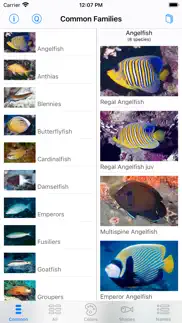 red sea fish id iPhone Captures Décran 2