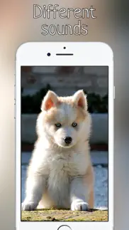 woof growl dog bark iphone images 4