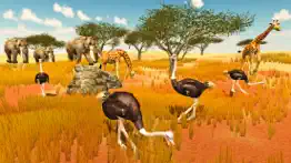 furious ostrich simulator iphone images 4