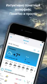 Прогноз погоды на 14 дней pro айфон картинки 1