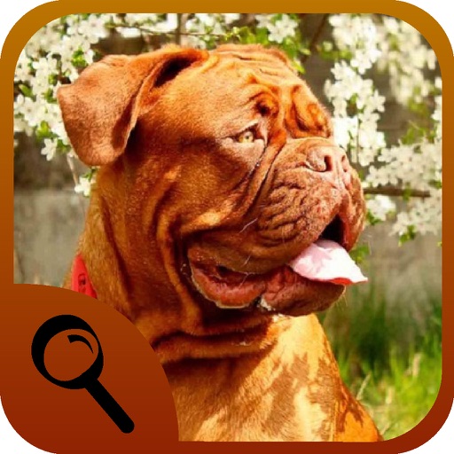 Spot the Differences - Animals app reviews download