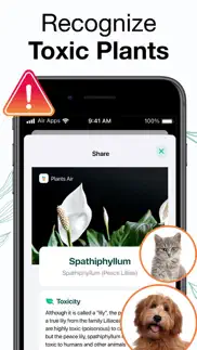 plants air - plant identifier iphone images 2