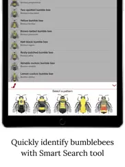bumble bee watch ipad images 3