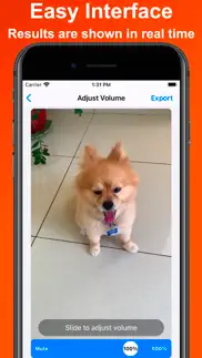 mute video - edit clip sound iphone images 2