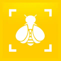 bumble bee watch logo, reviews