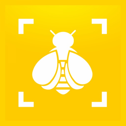 Bumble Bee Watch app reviews download