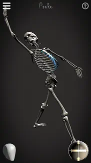 skelly - art model iphone images 3