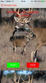 whitetail hunting calls - real deer sounds iphone images 4