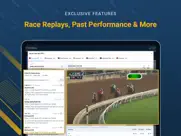 4njbets - horse racing betting ipad images 4