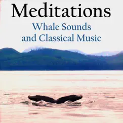 meditations - whales and music logo, reviews