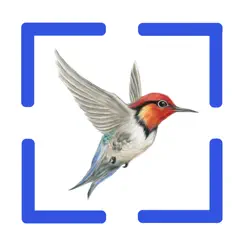 bird call identification logo, reviews