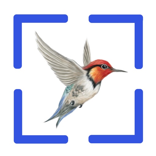 Bird Call Identification app reviews download