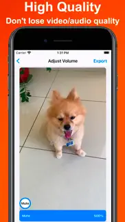 mute video - edit clip sound iphone images 3