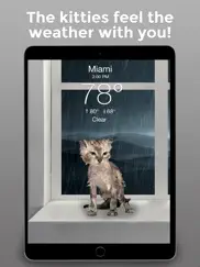 weather kitty: weather + radar ipad images 3
