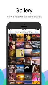 alook browser - 8x speed iphone images 4