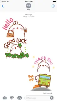 animated cute molang rabbit iphone images 1