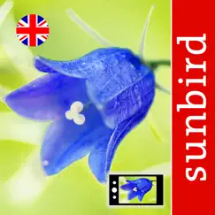 wild flower id british isles logo, reviews