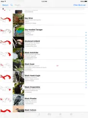 panama birds field guide basic ipad images 1