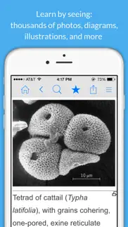 science dictionary by farlex iphone images 2