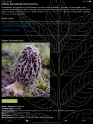 tennessee mushroom forager map ipad images 2