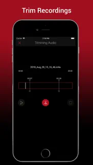 voice recorder hd pro iphone images 2