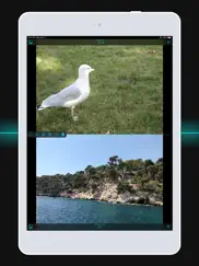 twinviewer iPad Captures Décran 1
