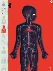 Человеческое тело от lite айпад изображения 2