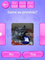 cute cats memory match game ipad images 4