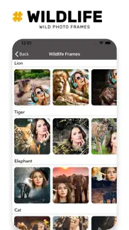 wildlife photo frame unlimited iphone images 3